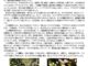 おの民児協だより　第21号 令和7年春号
